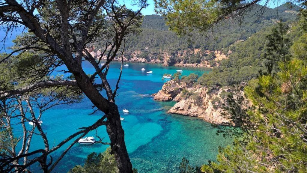 Studio Bandol Centre 2 Etoiles Ideal Emplacement Экстерьер фото