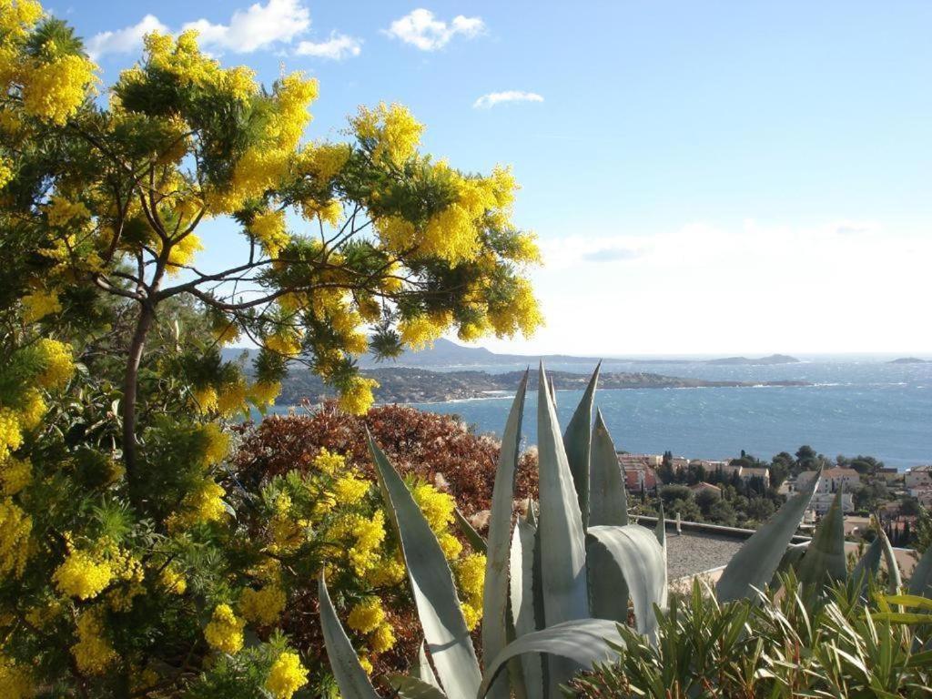 Studio Bandol Centre 2 Etoiles Ideal Emplacement Экстерьер фото